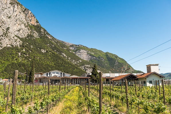 Cantina_Toblino_winery vyd